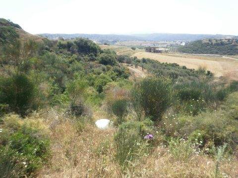 Chalkidiki Bauernhöfe, Landwirtschaft, Chalkidiki Forstwirtschaft