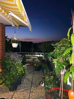 Ein Traum, die Dachterrasse, laue Sommernächte