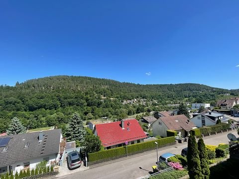 Calw Häuser, Calw Haus kaufen