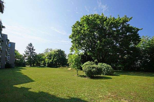 Riesiger Gemeinschaftsgarten