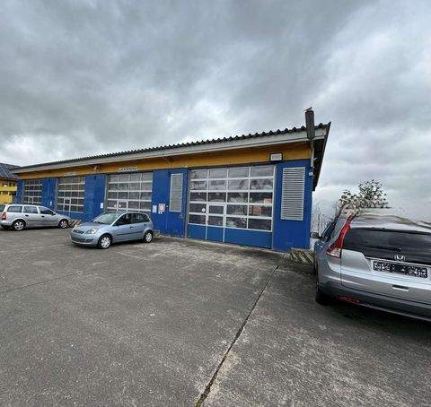 Herbolzheim Halle, Herbolzheim Hallenfläche