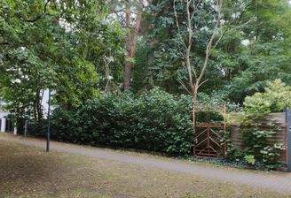 Blick von der Straße.jpg