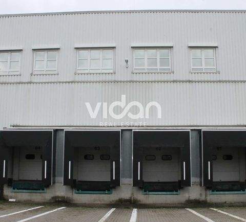 Kerpen Halle, Kerpen Hallenfläche