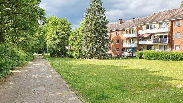 große Wiesenfläche Rückseite