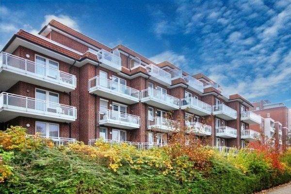 hohe Wallhecke zum Bürgersteig