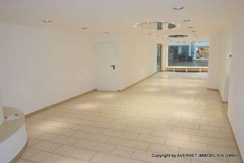 Waldshut-Tiengen Ladenlokale, Ladenflächen 