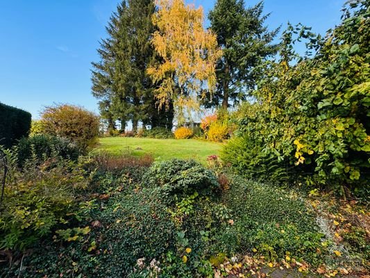 Garten hinter dem Haus