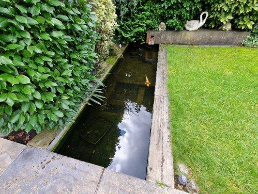 Kleine Teichanlage