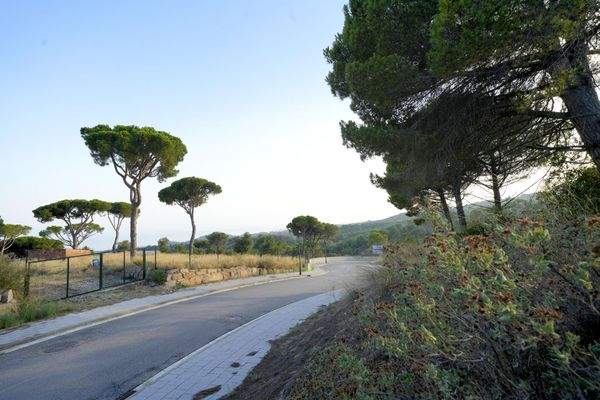 terreny llavaneres (4)