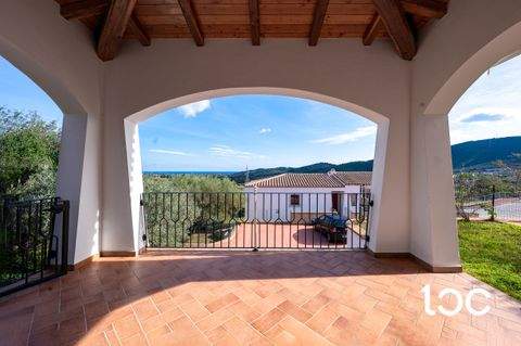 Maiorca Wohnungen, Maiorca Wohnung kaufen