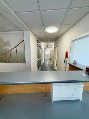 Empfang Blick Flur linker Flügel