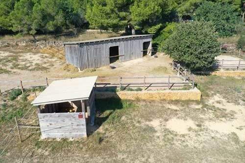 2531 spanien, valencia, montserrat, finca mit pferdestall zu verkaufen