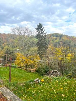 Garten mit Blick hinter dem Haus.jpg