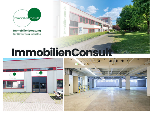 Offenbach am Main Halle, Offenbach am Main Hallenfläche