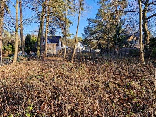 Grundstück mit Baumbestand im vorderen Teil