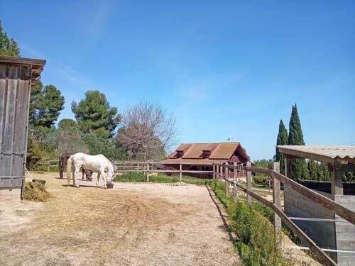 2531 spanien, valencia, montserrat, finca mit pferdestall zu verkaufen