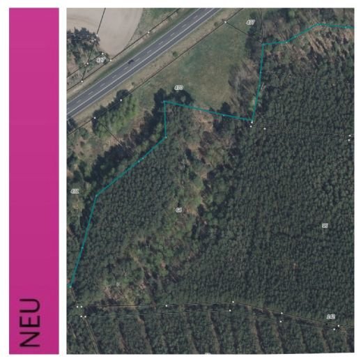 GRUNDSTÜCK MIT FORSTFLÄCHE IN WOLTERSDORF