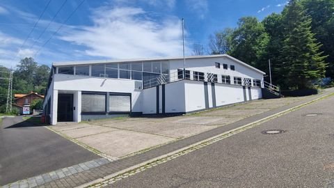 Bruchweiler-Bärenbach Halle, Bruchweiler-Bärenbach Hallenfläche