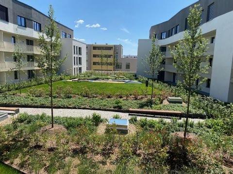 Dresden Wohnungen, Dresden Wohnung mieten