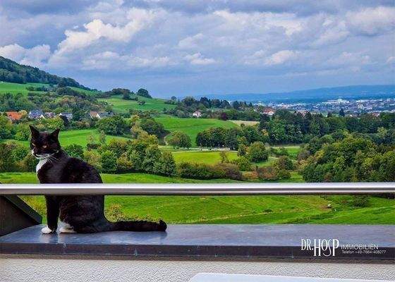 Blick zum Schönberg und Freiburg.jpg