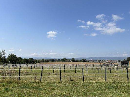 Ihr Blick von der Dachterrasse