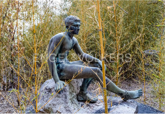 Schermata 2024-09-06 alle 11.15.54.png