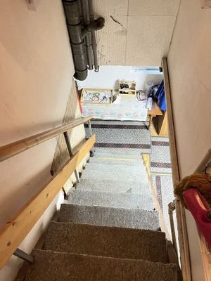 Treppe in den Keller.jpg