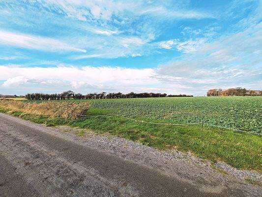 Rückwärtige Zufahrt