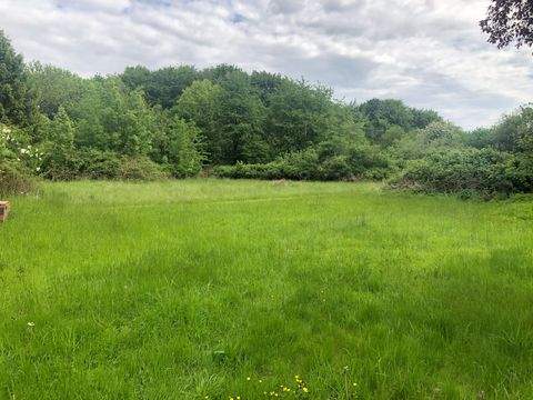 Ascheffel Grundstücke, Ascheffel Grundstück kaufen