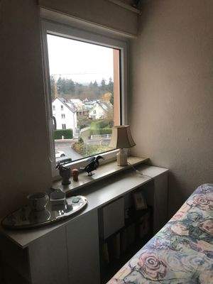 Fensterblick mit Lampe