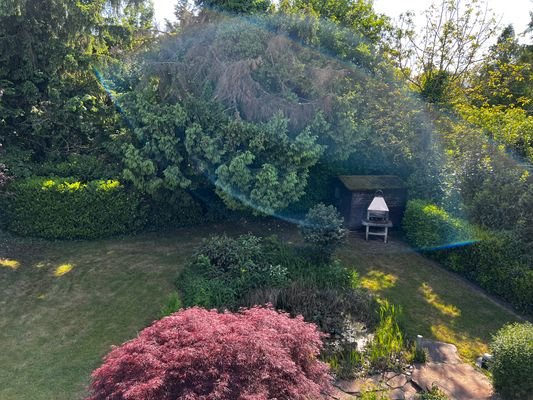 Blick in den Garten