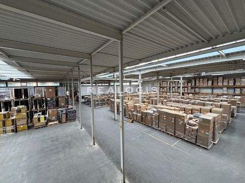 Malsch Halle, Malsch Hallenfläche