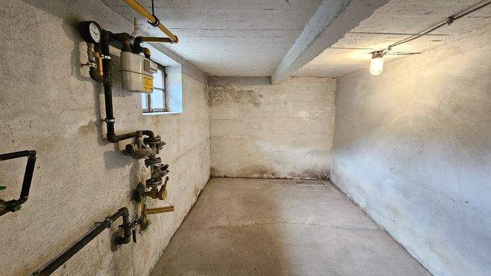 Keller - Haus - Radenthein - kaufen