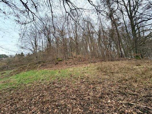 WhatsApp Image 2026-01-05 at 15.45.44 (6).jpeg