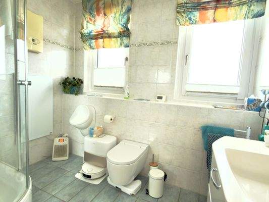 Tageslicht-Duschbad (EG)