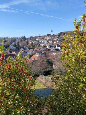 Traumhaft Wohnen ...