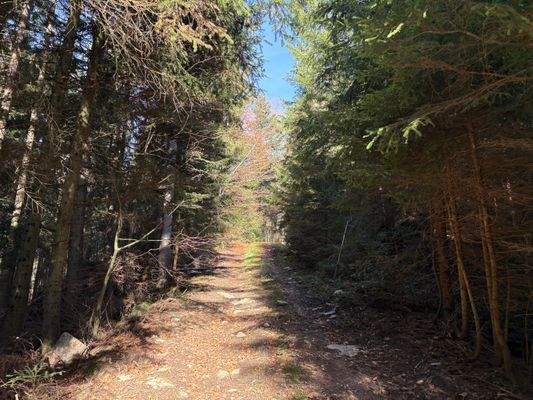 2025-11-05 10.15.36.jpg