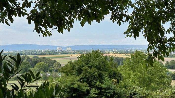 Außenansicht / Stadtblick