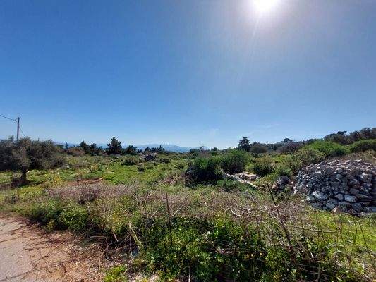 WhatsApp Image 2024-03-12 at 14.15.52_3c1fd3f7.jpg