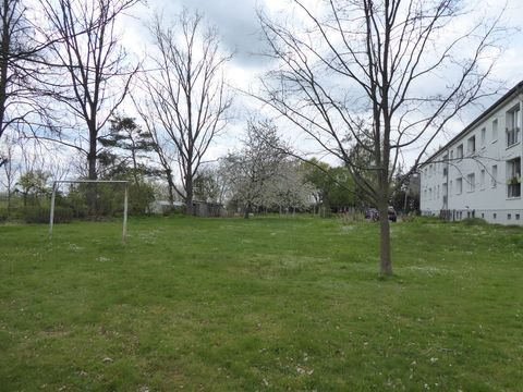 Borsdorf Wohnungen, Borsdorf Wohnung mieten