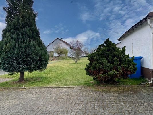Blick in den Garten
