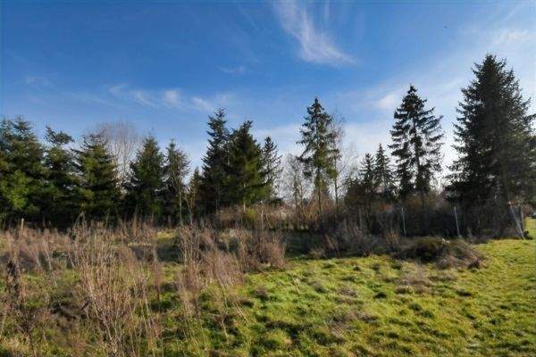 Freiland f. Bepflanzung  Tiere