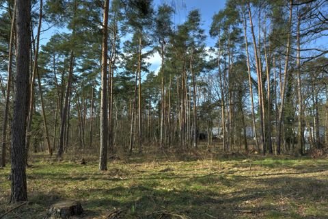 Stahnsdorf Grundstücke, Stahnsdorf Grundstück kaufen