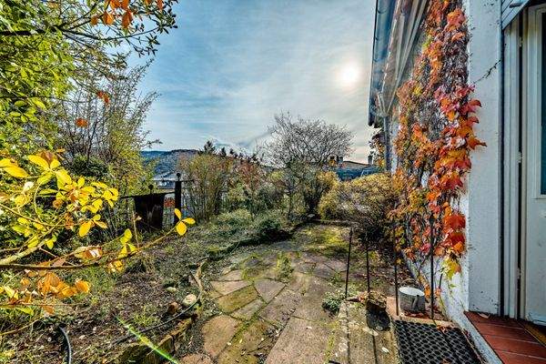 Dachgarten Richtung Neckar