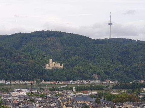 Lahnstein Bauernhöfe, Landwirtschaft, Lahnstein Forstwirtschaft