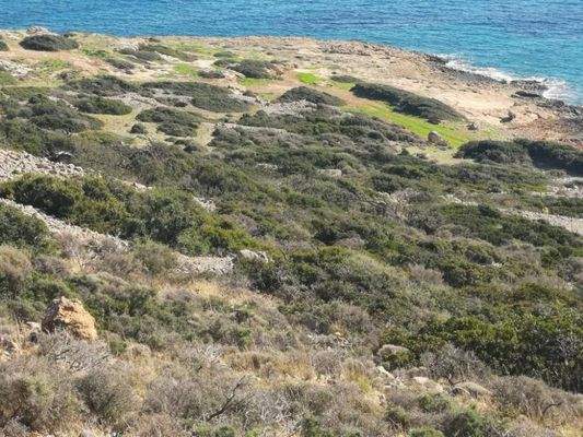 Kreta, Plaka Elounda: Bauland direkt am Meer zu verkaufen