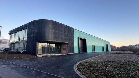 Jebenhausen Halle, Jebenhausen Hallenfläche