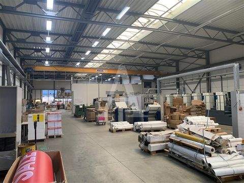 Düren Halle, Düren Hallenfläche