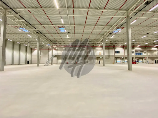 INFOS UNTER: 06171-586000