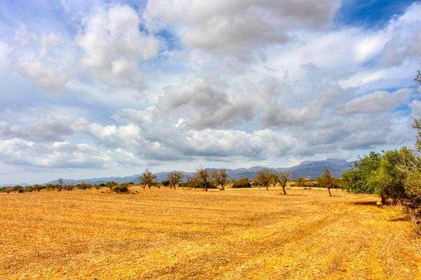 Zu-verkaufen-fantastische-Finca-in-sehr-ruhiger-Lage-bei-Costitx-Inca
